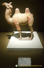 Tang Dynasty Painted Pottery Camel