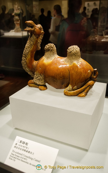 Tang Dynasty Tri-colour Crouching Camel