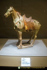 Tang Dynasty Tri-colour Horse 