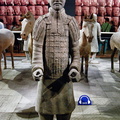 Shaanxi Museum - Terracotta Warrior