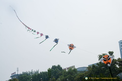 Kite-flying in Xi'an