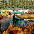 Boat Rides on East Lake