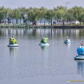 Wuhan East Lake Water Fountains