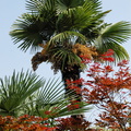 East Lake Vegetation