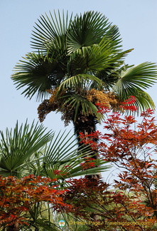 East Lake Vegetation