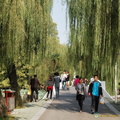 wuhan-east-lake-DSC5628.jpg