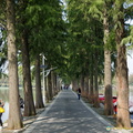 East Lake Pathways