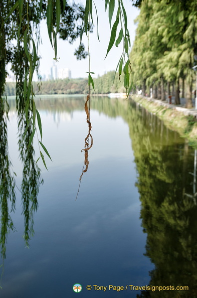 wuhan-east-lake-AJP5049.jpg