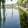 wuhan-east-lake-AJP5049.jpg