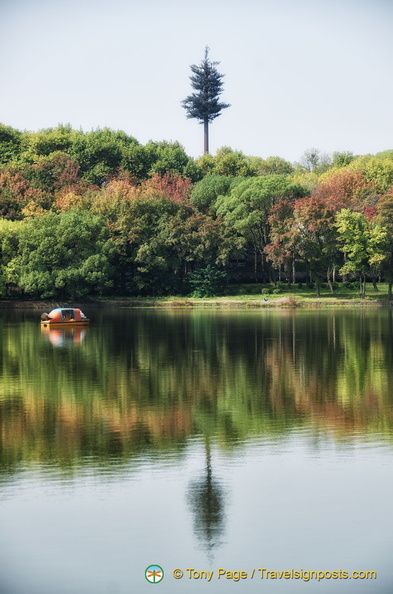 Lakeside Forest