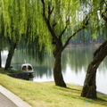 wuhan-east-lake-AJP5051.jpg