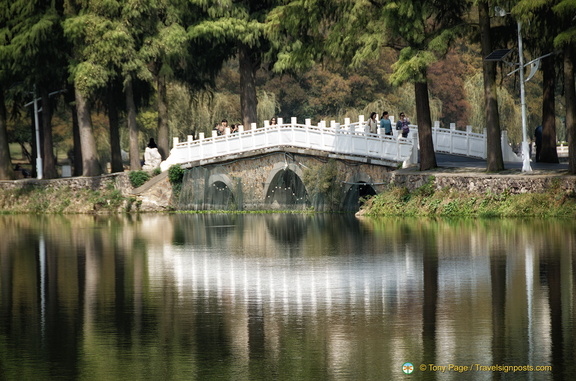 Beautiful White Bridge and its Reflection