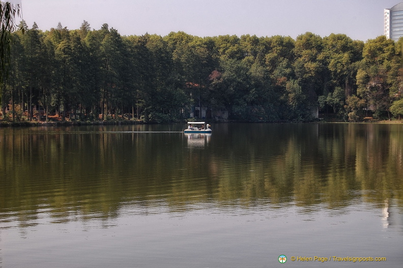 A Lone Duck Boat 