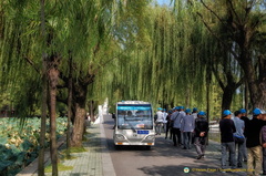 Electric Bus in East Lake