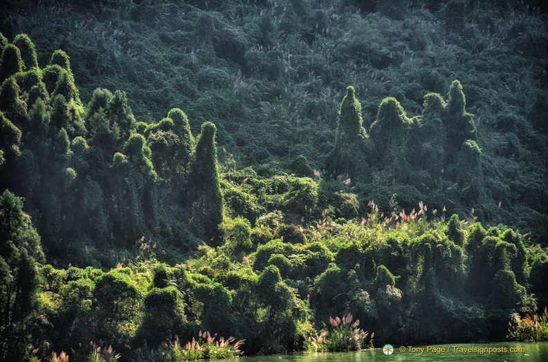 Ghouls on the Yangtze