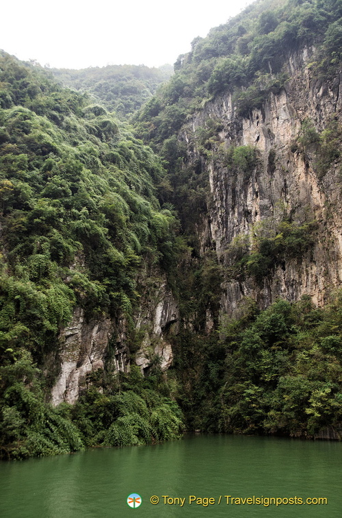 Cliffs and Vegetation along Shennong Stream