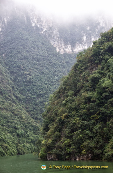 yangtze-shennong-stream-AJP5244.jpg