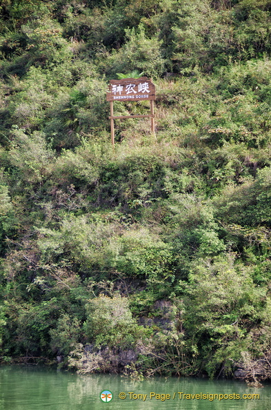 yangtze-shennong-stream-AJP5285.jpg