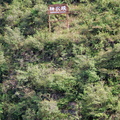 yangtze-shennong-stream-AJP5285.jpg