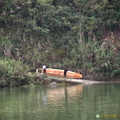 yangtze-shennong-stream-AJP5292.jpg