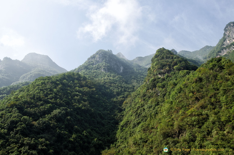 Hilly Shennong Stream Terrain