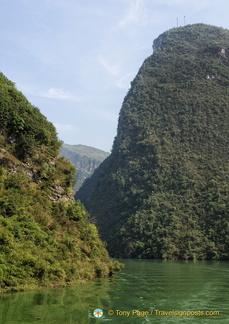 A Brighter View along Shennong Stream