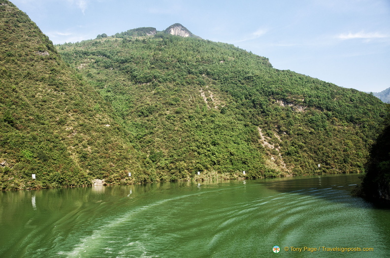 Markers Along Shennong Stream