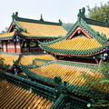 Eye-catching Green and Gold Roofs