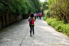 Footpath Downhill