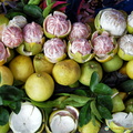 Pomelos for Sale