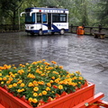 A Police Van at Mt Qingcheng