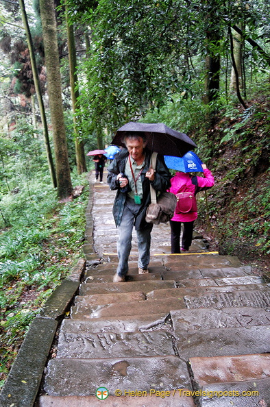 chengdu-mount-qingcheng-DSC6582.jpg