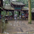 chengdu-mount-qingcheng-AJP5747.jpg