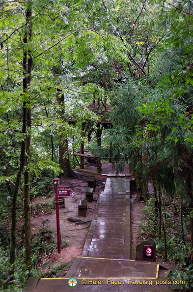 Idyllic Mt Qingcheng View