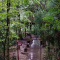 chengdu-mount-qingcheng-AJP5750.jpg