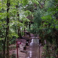 Idyllic Mt Qingcheng View