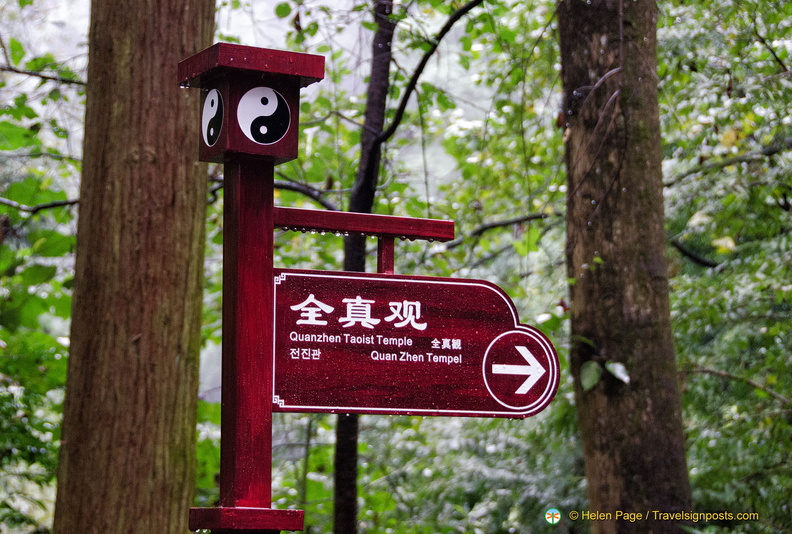 chengdu-mount-qingcheng-AJP5751.jpg