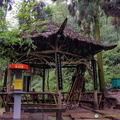 chengdu-mount-qingcheng-AJP5755.jpg