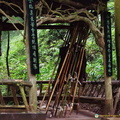 chengdu-mount-qingcheng-AJP5756.jpg