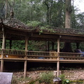 chengdu-mount-qingcheng-AJP5758.jpg