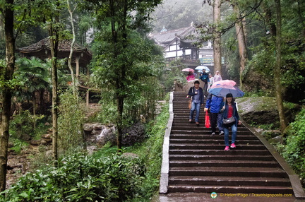 Walking Down Chunxian Footpath