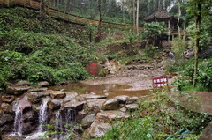 Mt Qingcheng Landscape