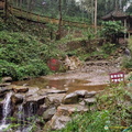 Mt Qingcheng Landscape