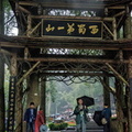 chengdu-mount-qingcheng-AJP5768.jpg