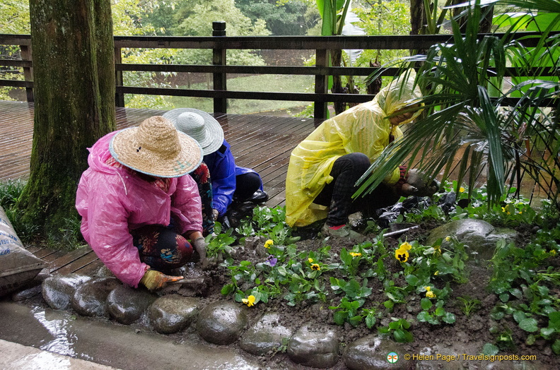 chengdu-mount-qingcheng-AJP5769.jpg