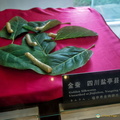 chengdu-silk-embroidery-AJP5736.jpg