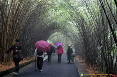 Visitors at the Chengdu Research Center