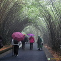 Visitors at the Chengdu Research Center