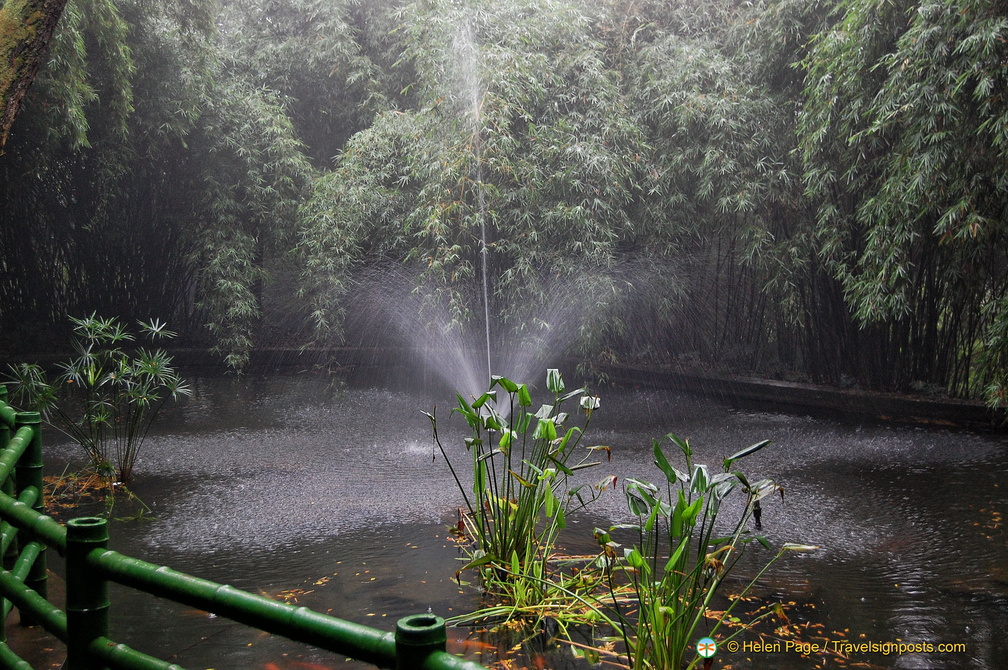 Lush Bamboo Gardens