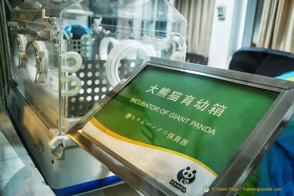 Incubator for Giant Panda